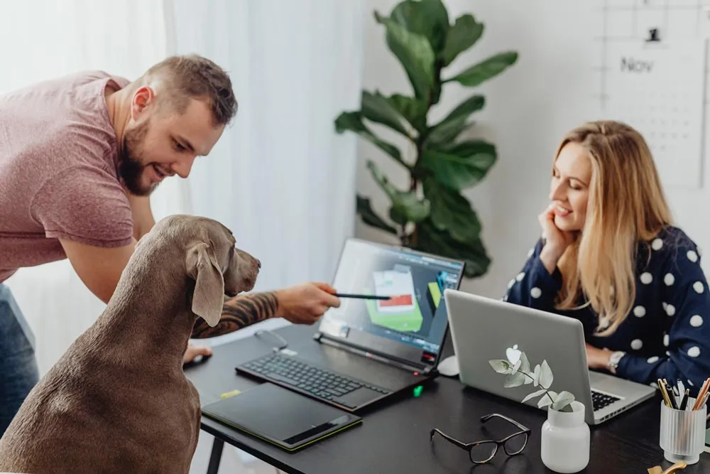 Tecniche di addestramento cani: le basi da conoscere Tecniche di addestramento cani: le basi da conoscere